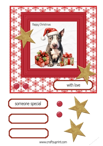English Bull Terrier Christmas