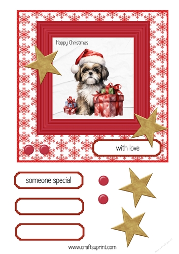 Shitzu Christmas 