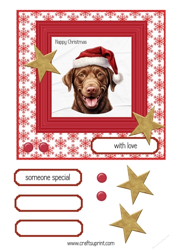 Chocolate Labrador Christmas 