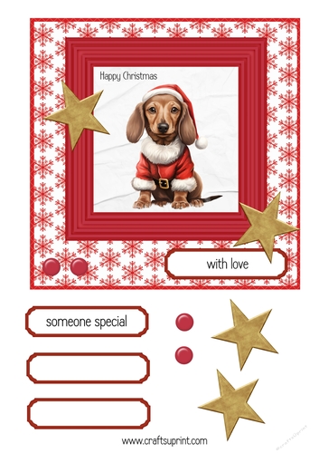 Dachshund Christmas 1