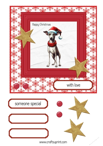 Italian Greyhound Christmas 