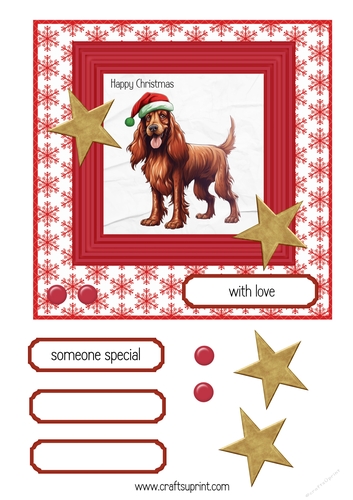 spaniel Christmas 1