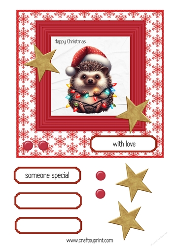 Hedgehog Christmas 