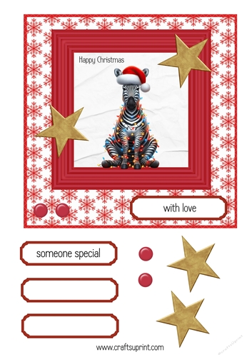 Zebra Christmas 