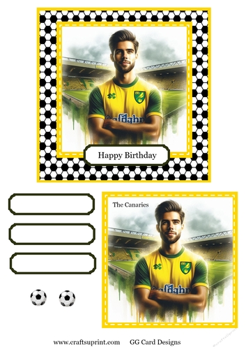 Football topper Norwich