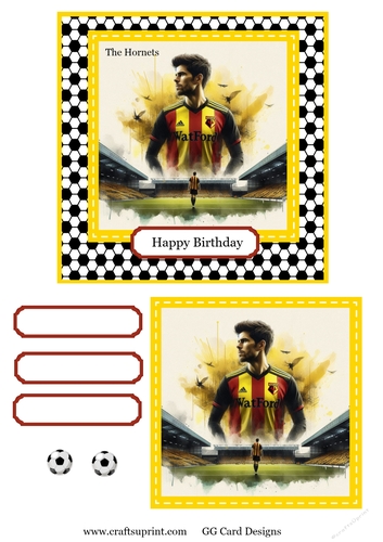 Football Topper Watford
