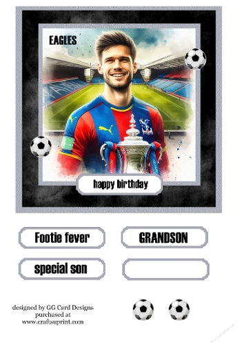 Football Topper Crystal Palace 