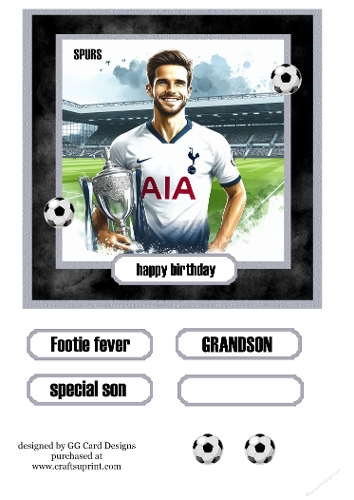 Football topper Tottenham with trophy