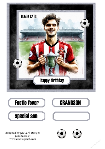 Football topper Sunderland with trophy