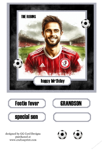 Football topper Bristol City