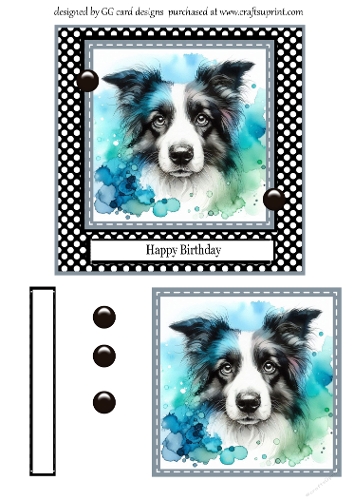 border collie birthday