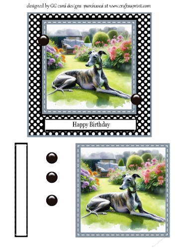whippet in garden birthday