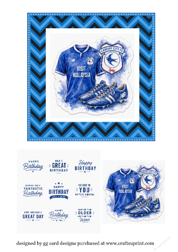Cardiff City football topper