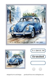 Christmas Beetle