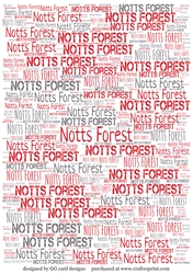 football BP Notts Forest