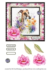 Whippet Birthday