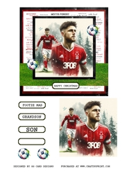 Football topper Nottingham Forest