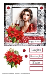 Christmas lady wine