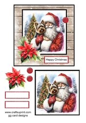 Yorkshire Terrier Christmas 1