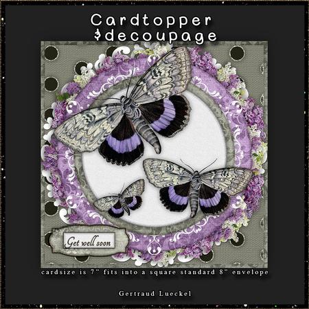 Moth in Purple with Inlet and Tags 115