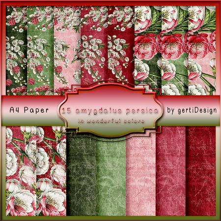 15 x A4 Amygdalus Persica Peach 105