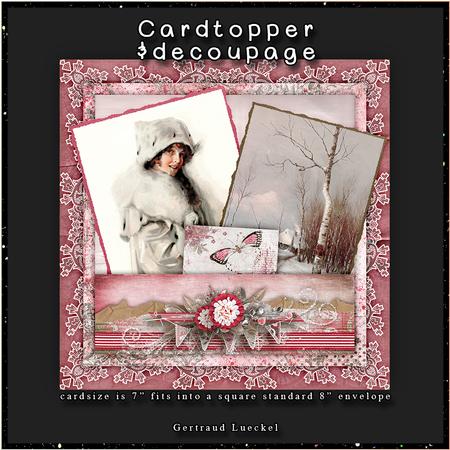 Winter Romance Cardtopper with Inlet 125