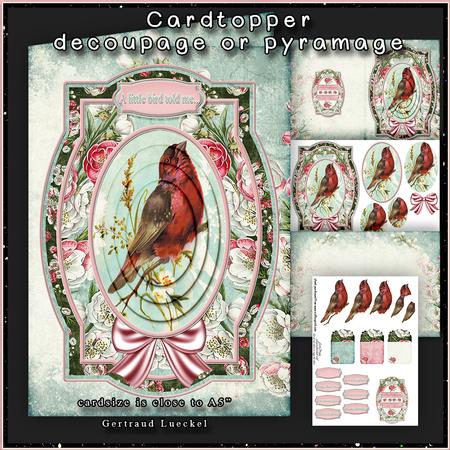 A Little Bird A5 Cardtopper with Inlet 152