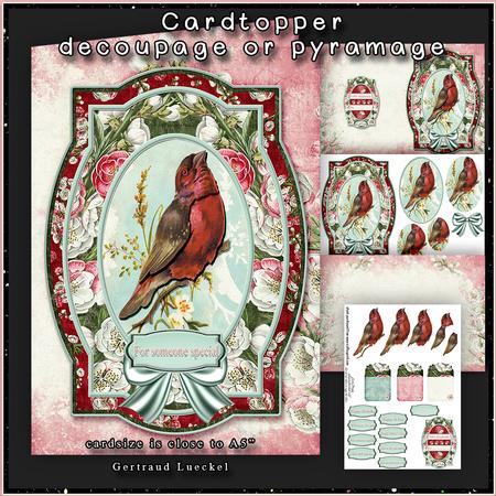 A Little Bird A5 Cardtopper with Inlet 153