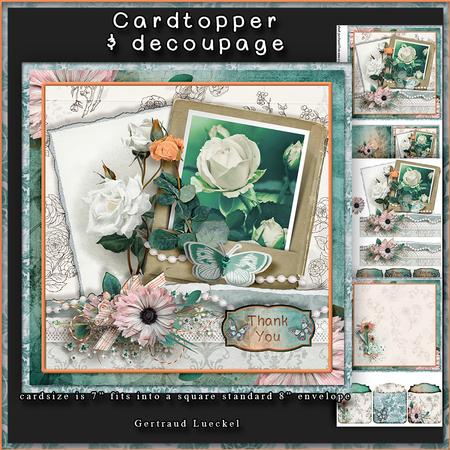 White Rose Cardtopper with Inlet