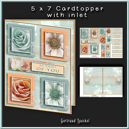 Cardtopper with Inlet Soft Roses 260