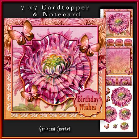 Cardtopper Aster Orange Pink 283