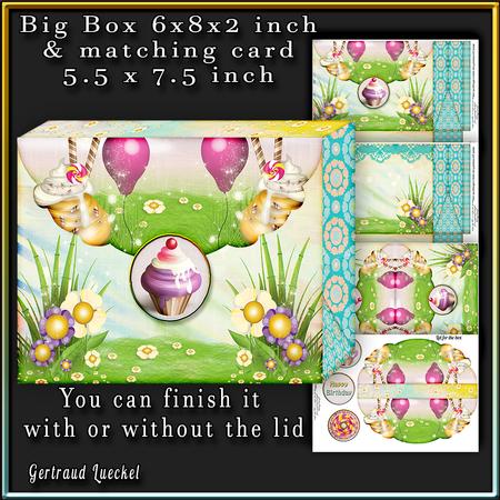 Big Pinchbox (bag) Happy and Vibrant Colors 107