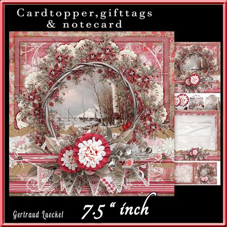 Winter Wishes Cardtopper 502