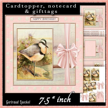 Vintage Soft Pink Bird Cardtopper 525