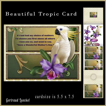 Beautiful Tropic Card 862
