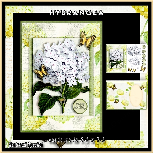 Hydrangea Cardtopper Minikit white 883