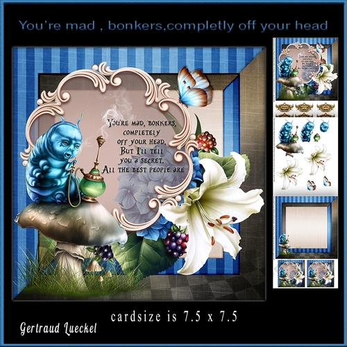 Wonderland Youre mad bonkers completly off your head  topper rabbit 916