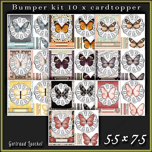 Butterlfy Lace Bumperkit 9