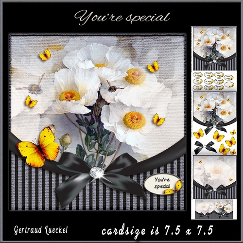 Vintage Flower Stripes and Butterflies 951