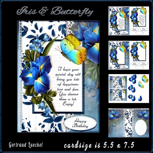 Iris and Butterfly 969
