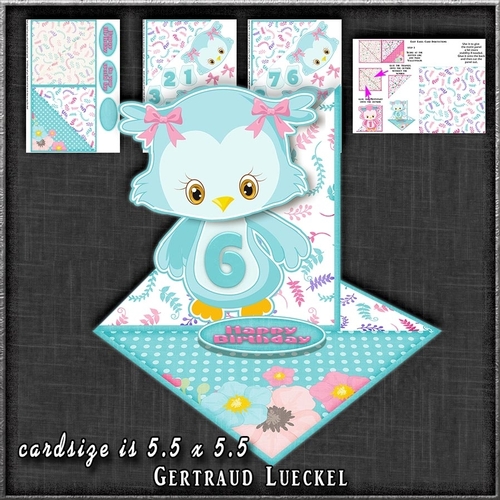 Cute Fancy Easel Turquoise Owl Birthday 1-9 1261