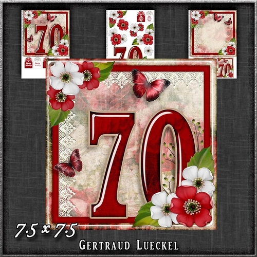 Vintage Birthday 70th Card Topper Kit 1186