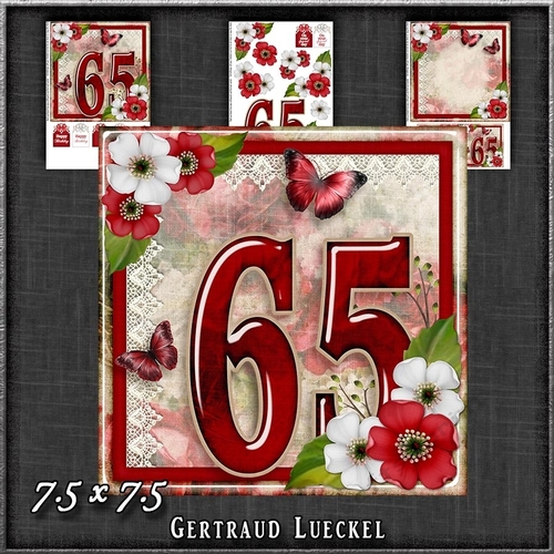 Vintage Birthday 65th Card Topper Kit 1186