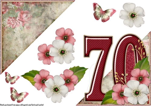 Add On for Vintage Easel 70th Birthday Card Kit 1178