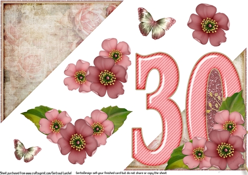 Add On for Vintage Easel 30th Birthday Card Kit 1178
