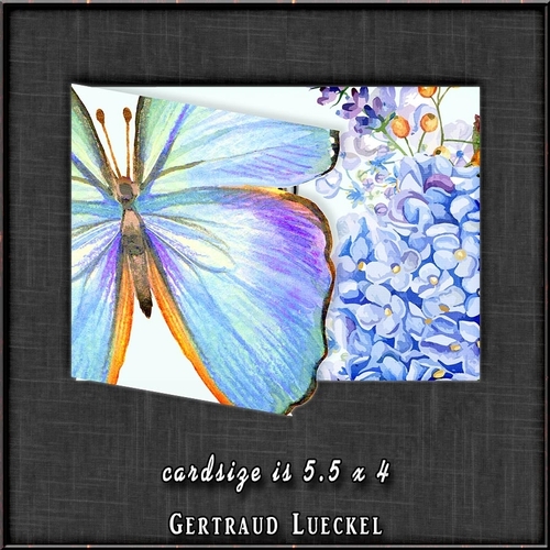 Watercolor Butterfly in Blue 1346