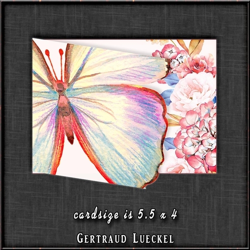 Watercolor Butterfly in Pink 1346