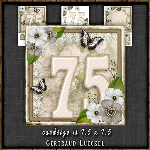 Vintage Birthday 75th Card Topper Kit 1306