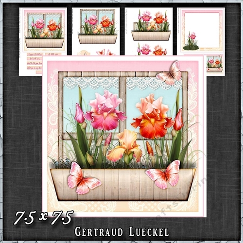 Flower Window Spring Iris Lillie Card Kit 1418