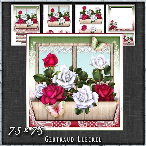 Flower Window Spring Roses Card Kit 1420